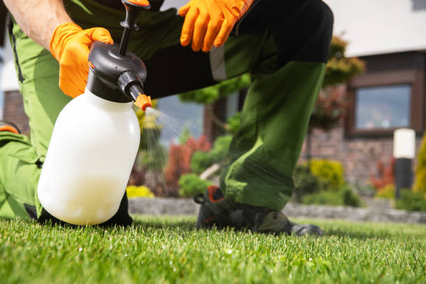 Best Wasp Removal Services  in Nazareth, PA